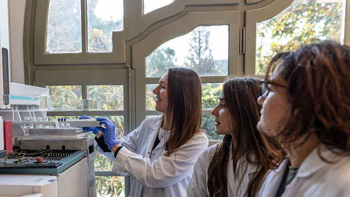 Estudio uab avellanas