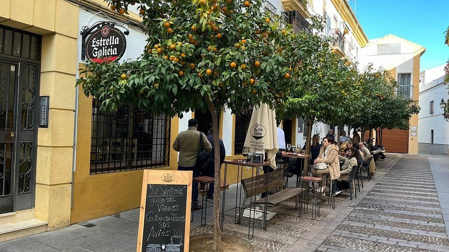 Taberna sacristía córdoba intoxicación alimentaria