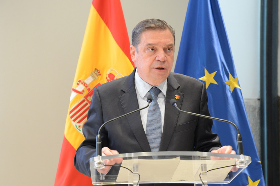Luis planas