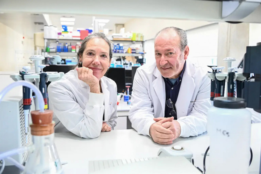 Estudian la relación de dietas hipercalóricas con el cáncer de hígado