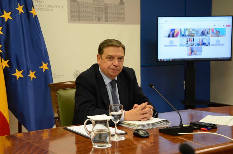 Ministro Agricultura Planas