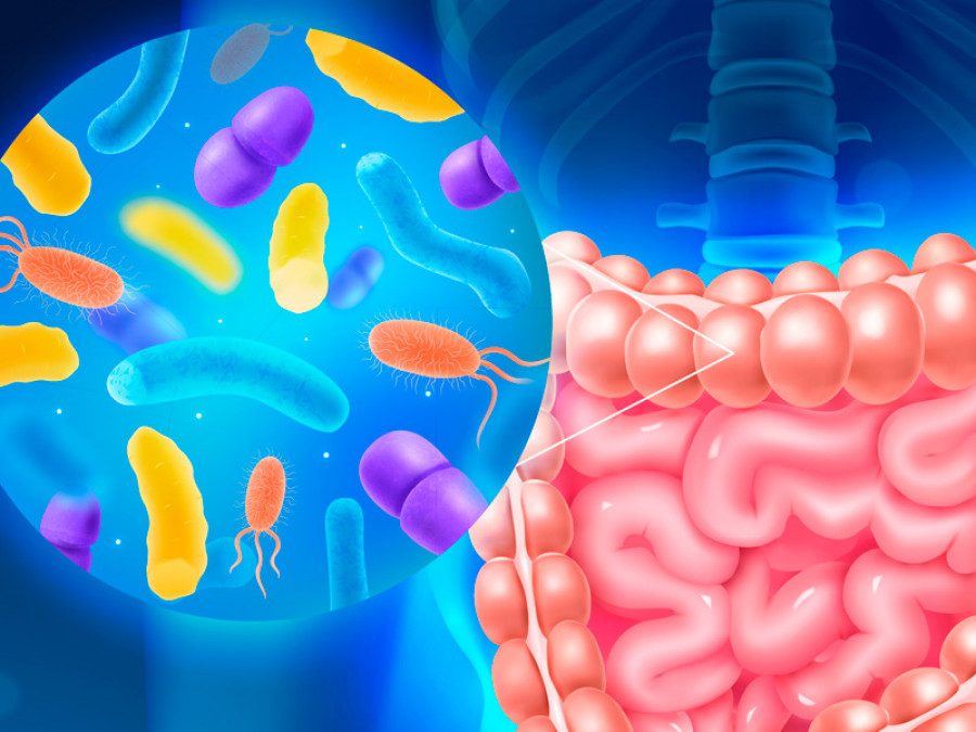 Microbiota