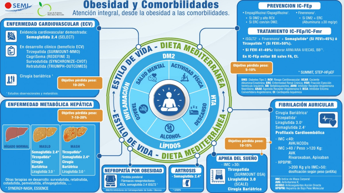 Infografu00eda obesidad