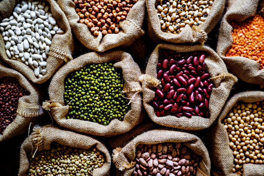 Día Mundial de las Legumbres: expertos recuerdan su sostenibilidad y sus múltiples beneficios nutricionales