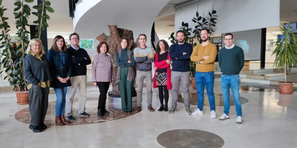 Nuevos detergentes para eliminar alérgenos de gluten y huevo de superficies en contacto con alimentos
