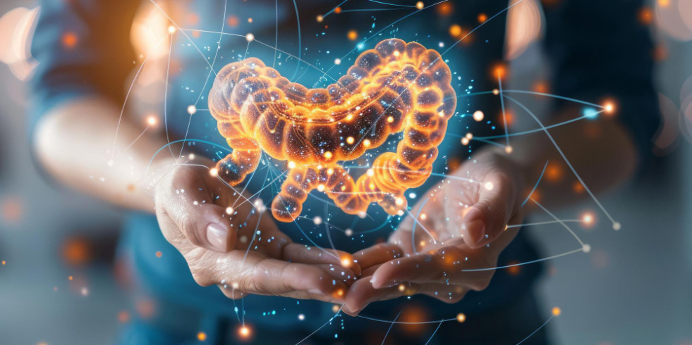 Estudian el efecto de una nutricion personalizada en el pronóstico de la enfermedad inflamatoria intestinal