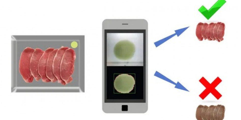 Españoles desarrollan un innovador sensor que permite determinar la frescura de alimentos envasados