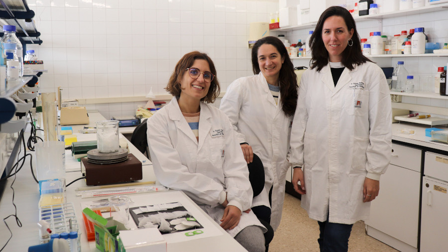 Laura Rubio, Jéssica Arribas y Alba García en el laboratorio del Grupo de Mutagénesis