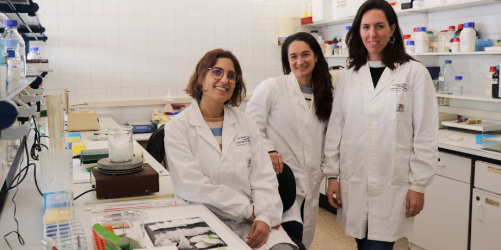 Científicos españoles demuestran que las bolsitas de té comerciales liberan millones de microplásticos