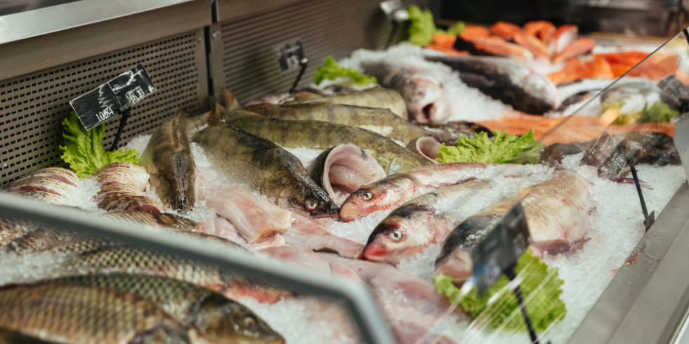 Expertos opinan sobre el estudio que confirma que el consumo de pescado frena el avance de la esclerosis múltiple