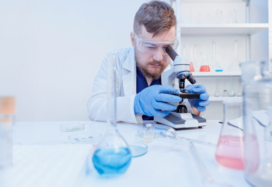 El sistema inmunitario extrae nutrientes de las bacterias dañinas que se come