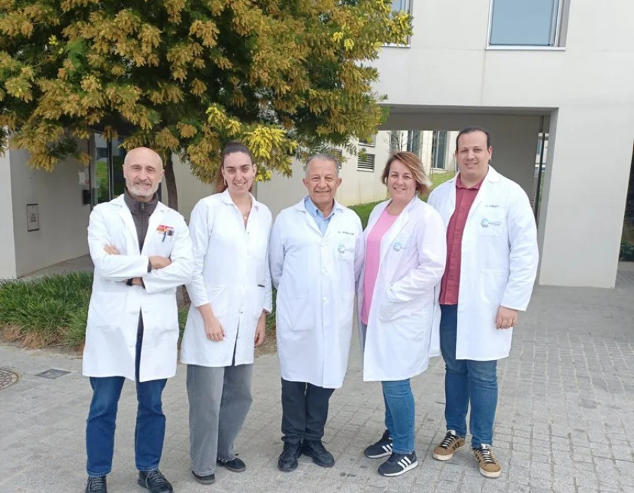 Melatonina protege contra el daño muscular y restablece fibras alteradas por obesidad y diabetes