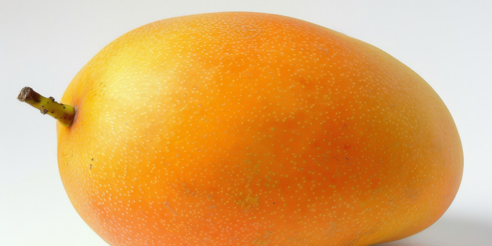 Descubren que comer mangos a diario mejora la sensibilidad a la insulina y el nivel de glucosa en sangre en adultos