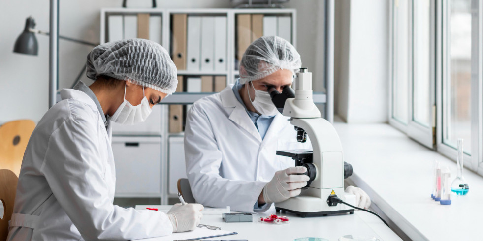 Una nueva enzima hallada en las bacterias intestinales podría revolucionar la investigación de prebióticos