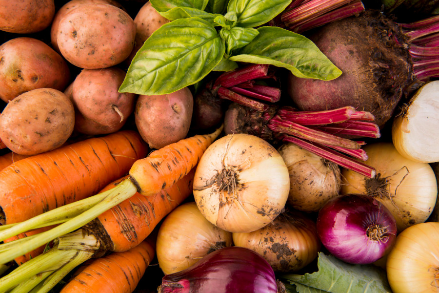 Probioticos, fitoquimicos e ITU