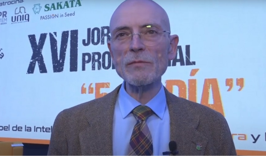 Joaquín rey 5 al día