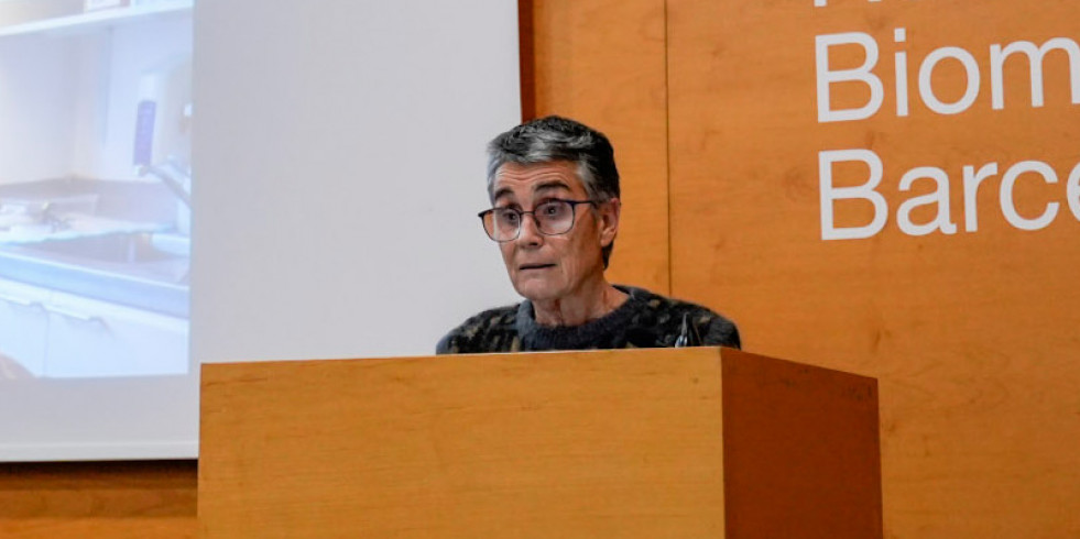 Cataluña detecta bisfenoles y sus derivados en alimentos enlatados o envasados en plástico