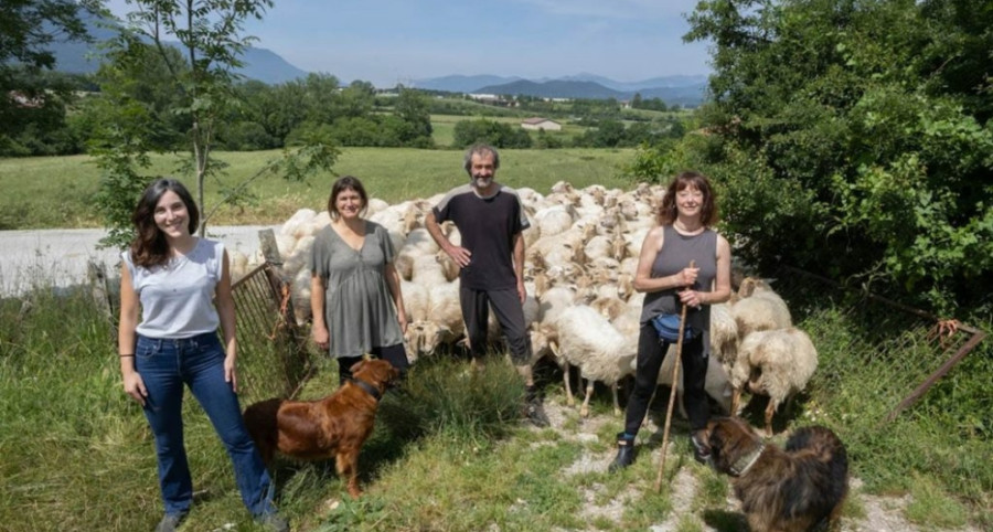 Cooperativa kaslaka
