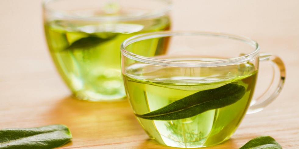 Hallan que uno de los polifenoles del té verde presenta propiedades hepatoprotectoras