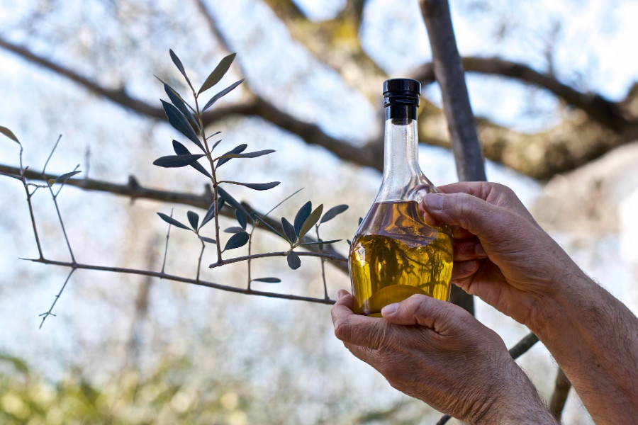 Aceite oliva premios españa