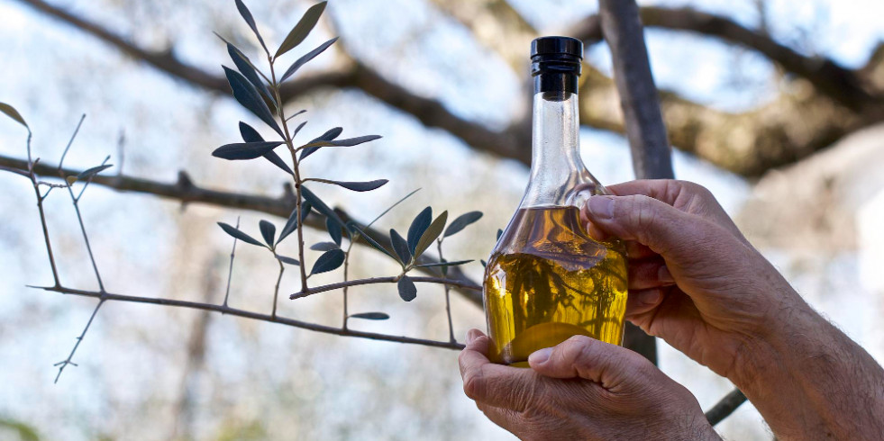 Premian a los mejores aceites de oliva virgen extra campaña 2024-2025 de España
