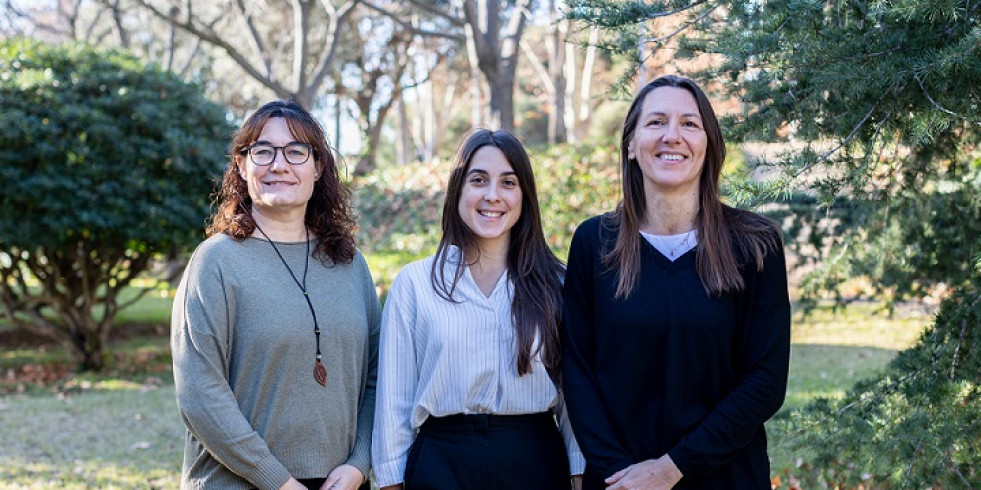 Españolas presentan avances para evitar el fraude alimenticio en el consumo de aceite de oliva virgen