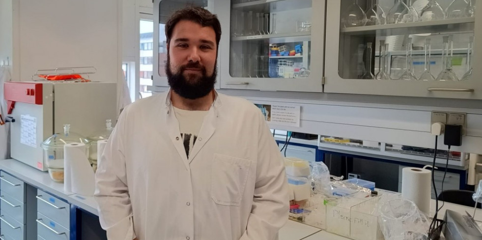 Un nuevo método identifica las avellanas rancias sin sacarlas del embalaje