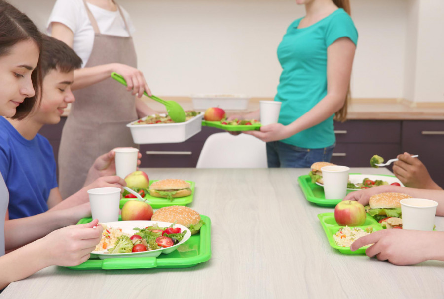 Comedores escolares precocinados