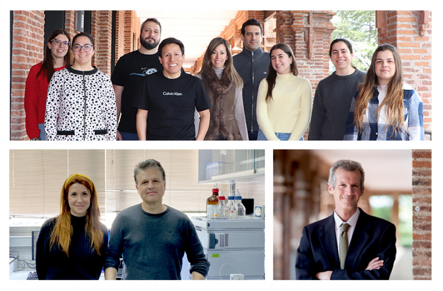 Equipo investigación aceite oliva