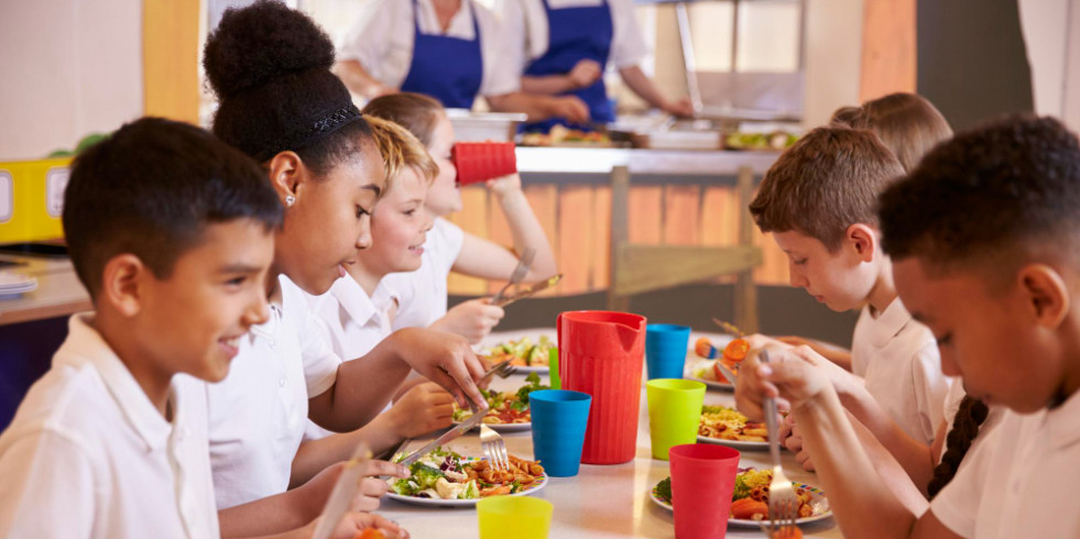El Colegio de Dietistas-Nutricionistas de Islas Baleares apoya la inclusión del menú vegano en comedores escolares