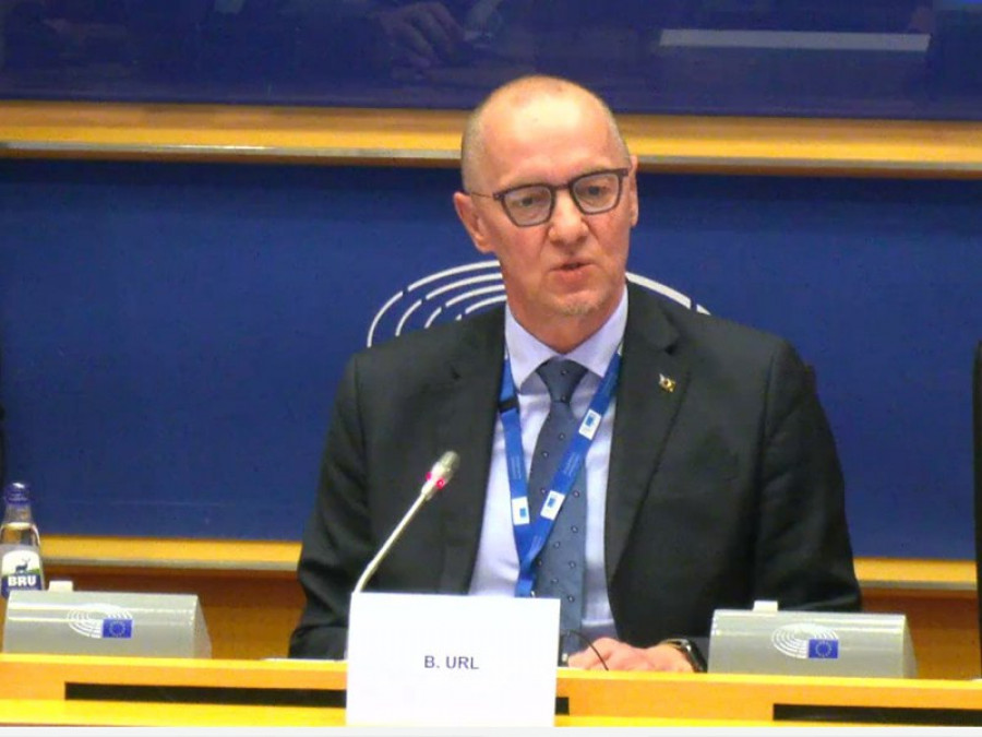 Bernhard Url, director ejecutivo de la EFSA.