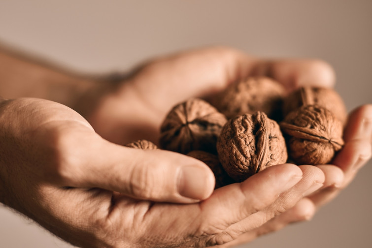 El consumo de nueces reduce la inflamación y el riesgo de padecer cáncer de colon