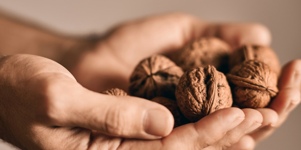 El consumo de nueces reduce la inflamación y el riesgo de padecer cáncer de colon