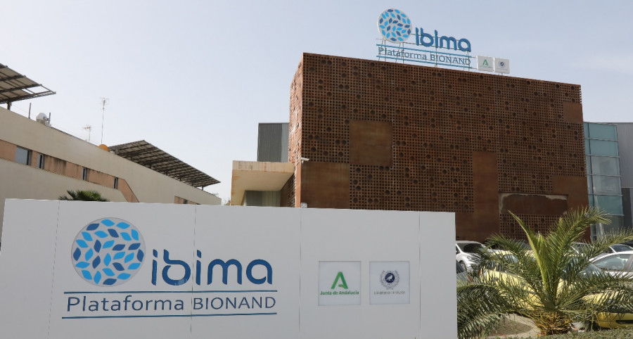 IBIMA