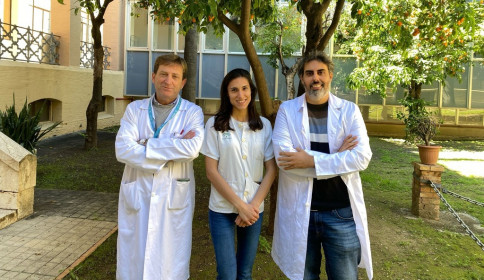 Españoles demuestran la necesidad de personalizar la nutrición de diabéticos que se alimentan por vía venosa