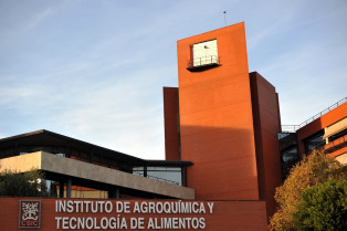 Ofertan un contrato de apoyo a investigación para menores de 30 años graduados en CyTA