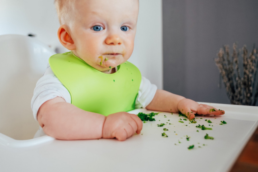 La etapa prenatal es fundamental para la formación de los hábitos saludables de los niños