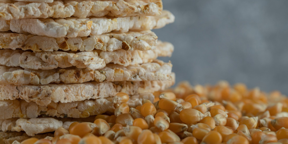 Descubren que añadir legumbres y semillas al tempeh clásico mejora la función cognitiva en adultos