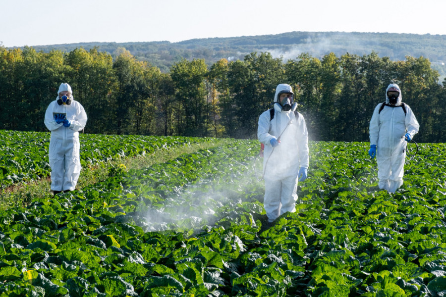 Pesticidas alimentos europa