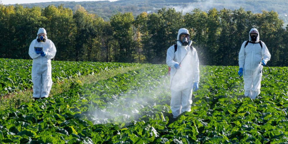 Residuos de pesticidas en los alimentos: ¿cuál es la situación en la UE?
