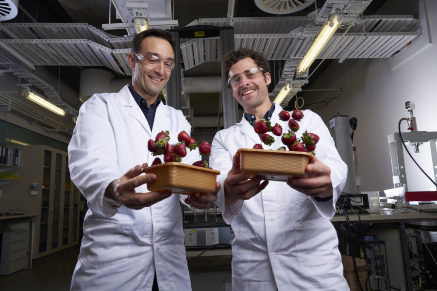 Investigadores envase biodegradable
