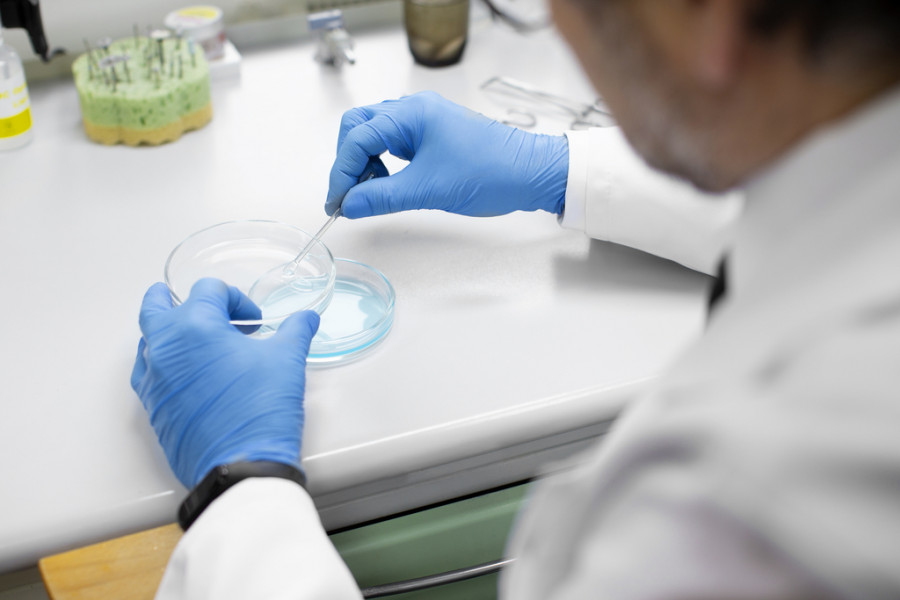Españoles bacterias intestinales obesidad