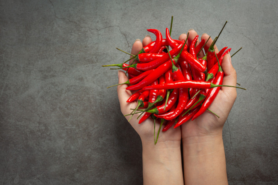 Alimentos picantes