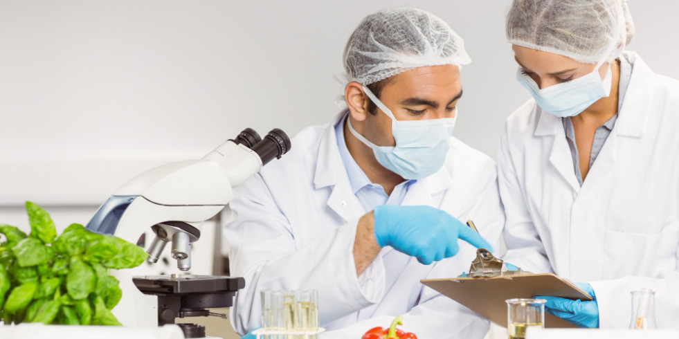 Llega un método innovador para medir con precisión la exposición de arsénico en los alimentos