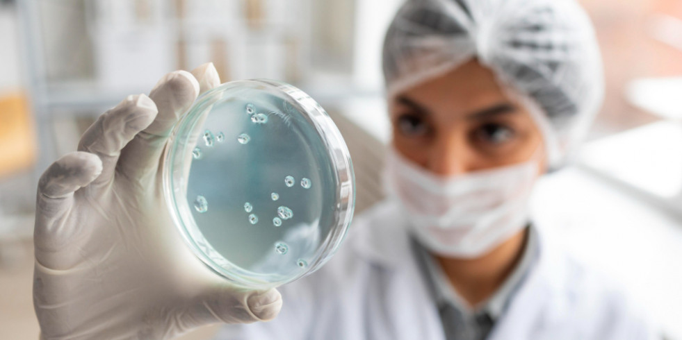 Las bacterias intestinales podrían ser la clave para predecir enfermedades como el cáncer