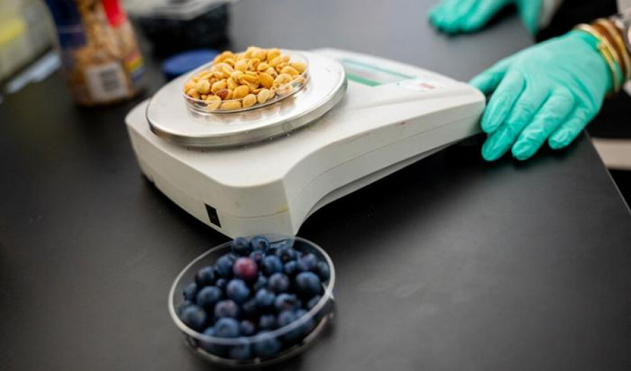 Alimentos medicina