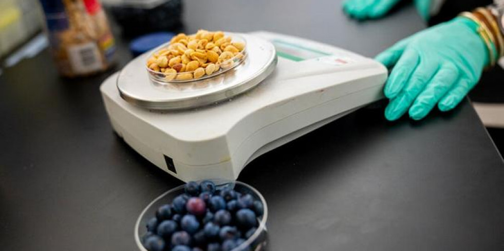 Más allá de la nutrición básica: Estudian las propiedades medicinales y preventivas de algunos alimentos