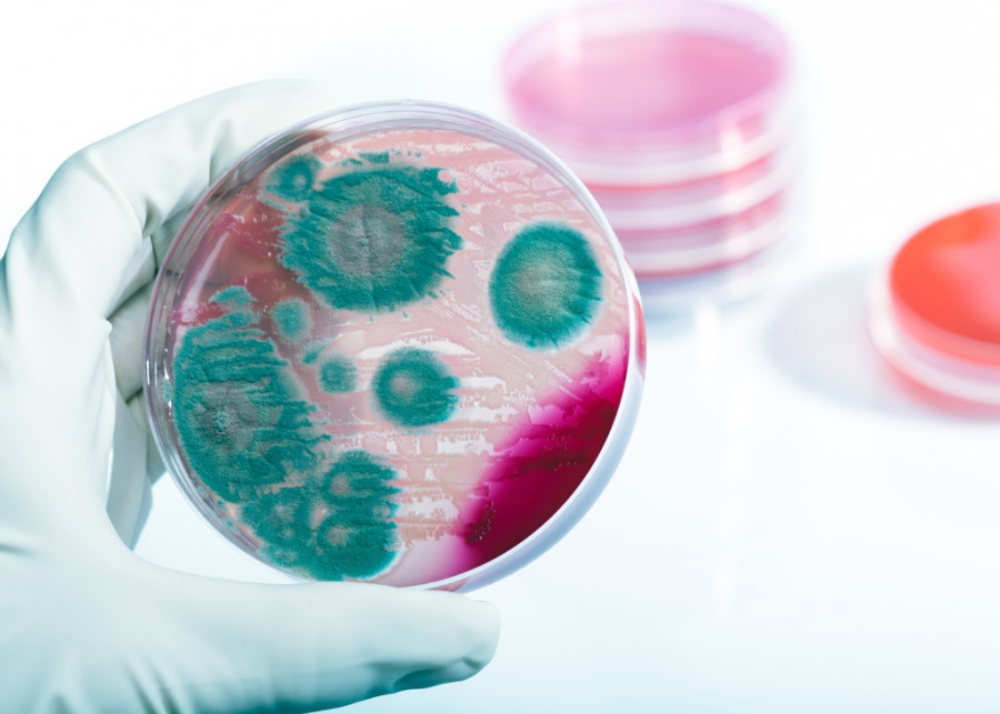 listeriosis