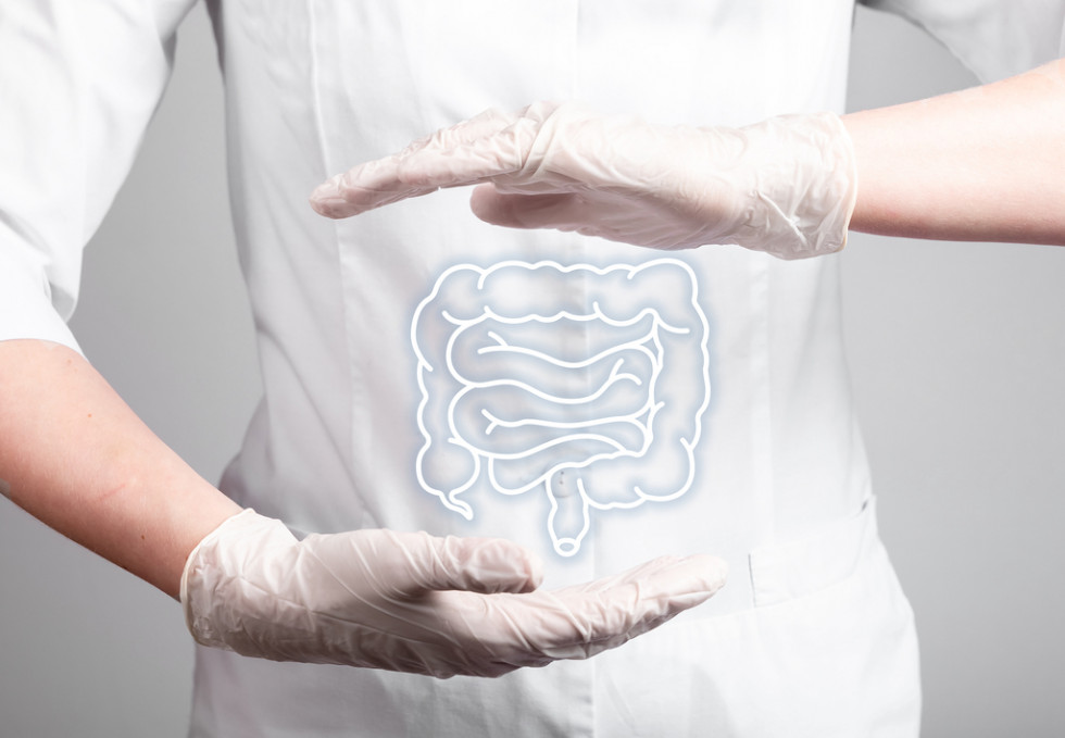 ¿La microbiota intestinal puede regular la absorción de calorías?