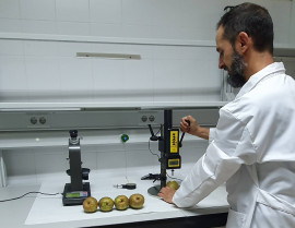 Demuestran que el manejo ecológico mejora la calidad de la pera 